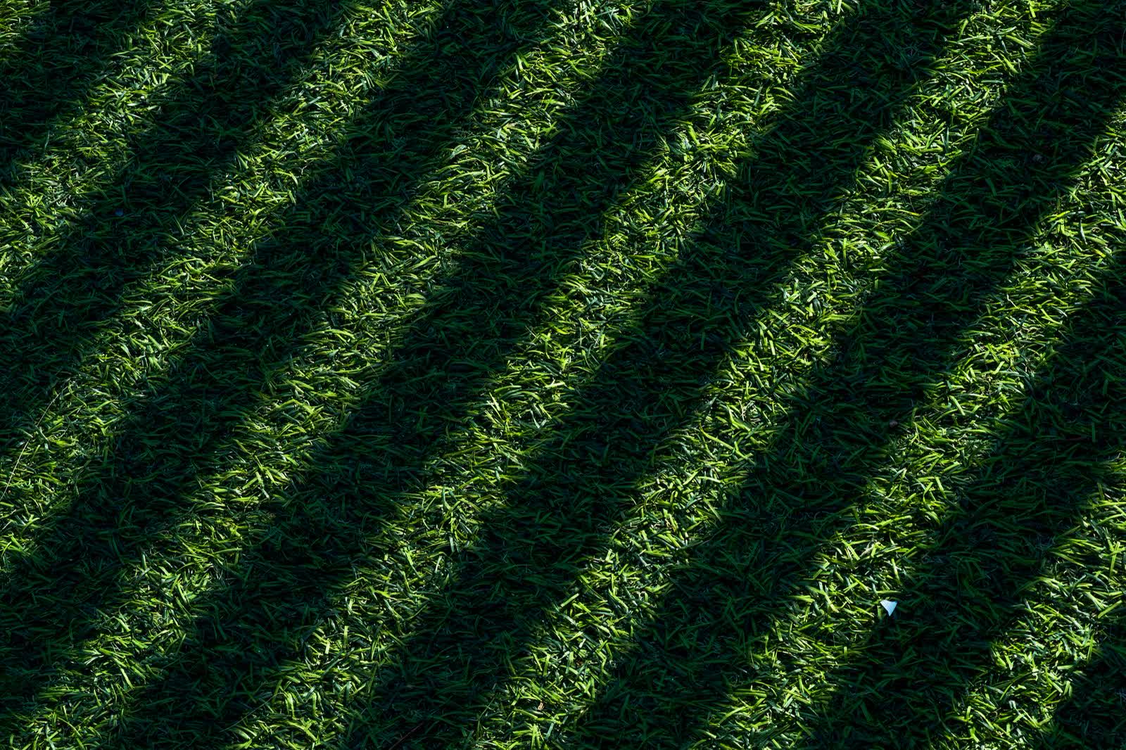A large lawn cut into clean alternating stripes