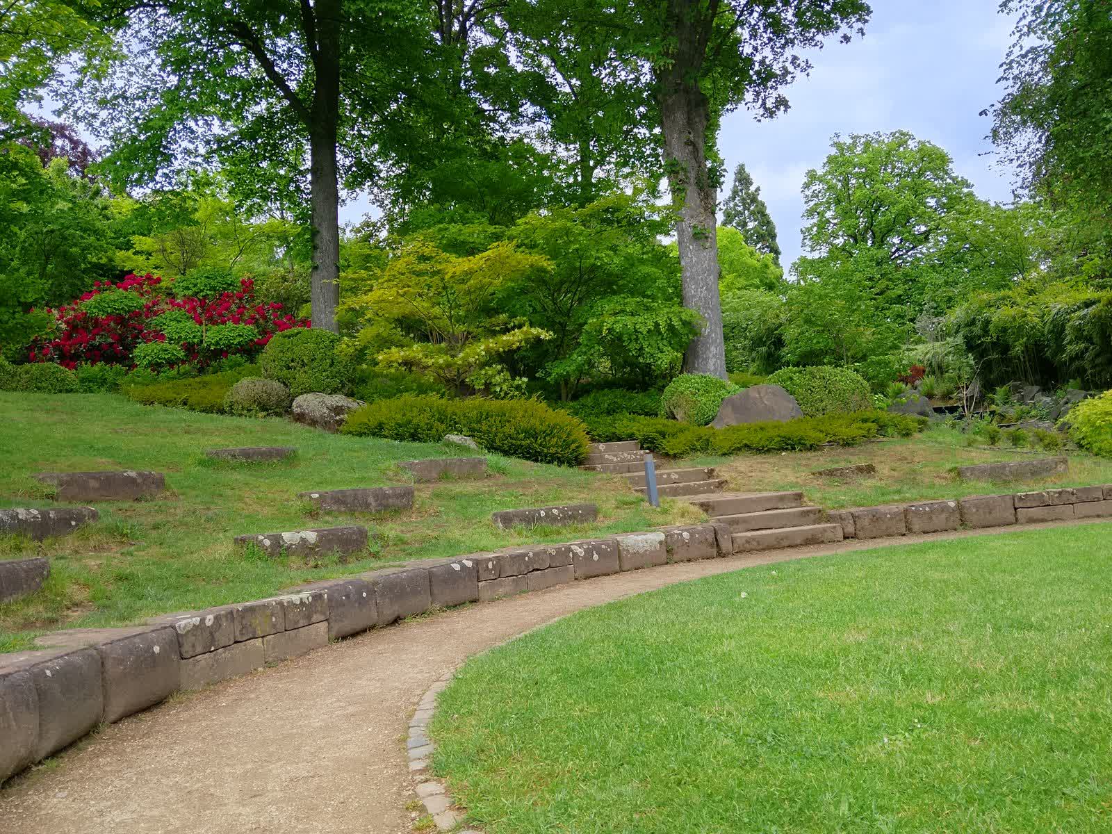 A finished landscaped bed with layered planting beside a clipped lawn